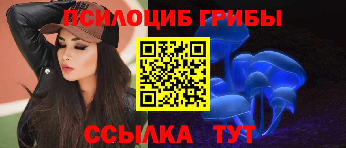 Похвистнево  Галлюциногенные грибы Psilocybine cubensis  Вход с VPN  как найти закладки  Псилоцибиновые грибы MAGIC MUSHROOMS 